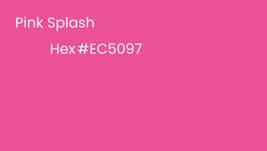 A solid pink background with white text in the upper left corner. The text reads: “Pink Splash” on the first line and “Hex #EC5097” on the second line.