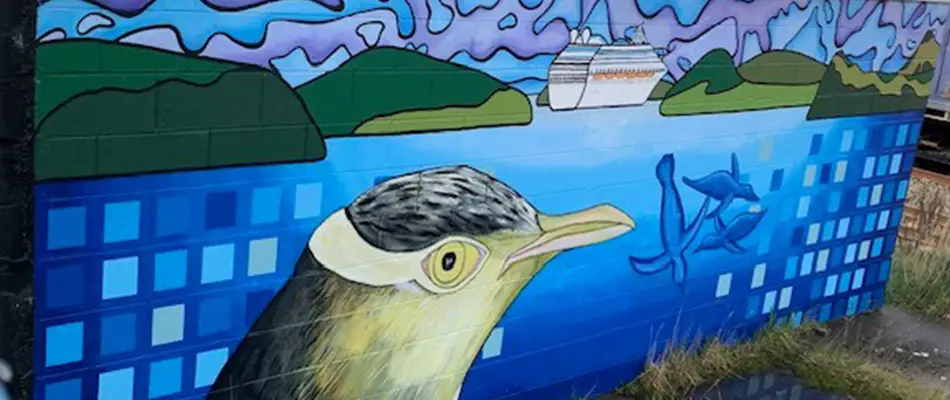 Port hills dunedin mural of a penguin and dolphins