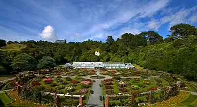 Wellington botanical gardens in a against a beautiful blue sky.