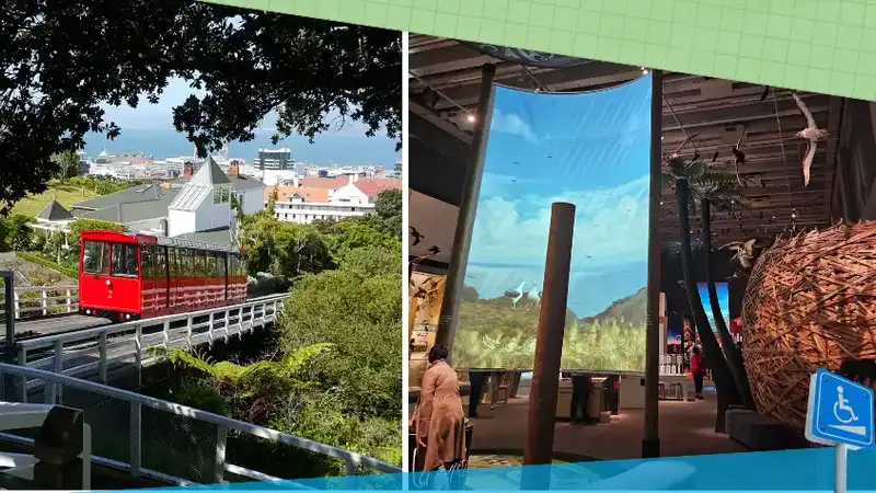 Wellington iconic red cable car appears on the left. Te Papa wild life exhibition appears on the right.